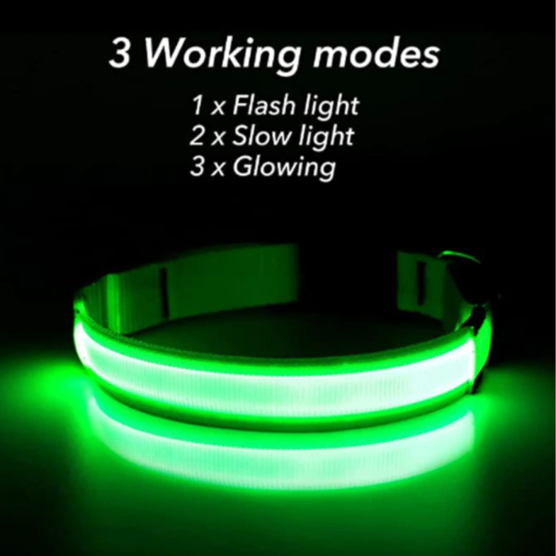 LED Dog Collar – Adjustable, Waterproof & Glow-in-the-Dark