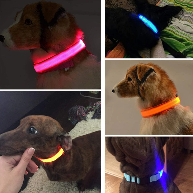 LED Dog Collar – Adjustable, Waterproof & Glow-in-the-Dark
