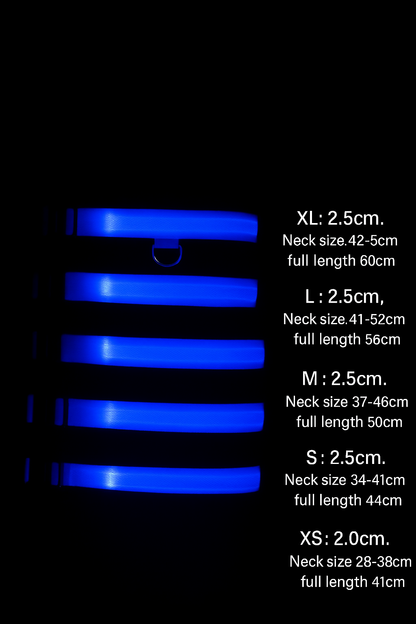 LED Dog Collar – Adjustable, Waterproof & Glow-in-the-Dark