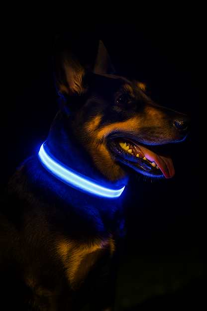 LED Dog Collar – Adjustable, Waterproof & Glow-in-the-Dark